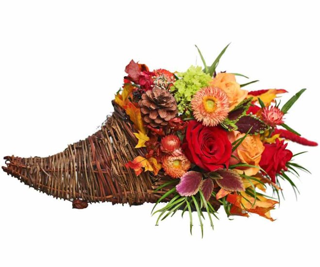 Thanksgiving Cornucopia - Medium